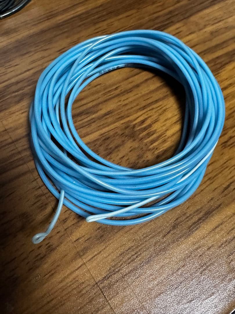 SA ATL SAL CHUZENZI SP 400gr シャローキット