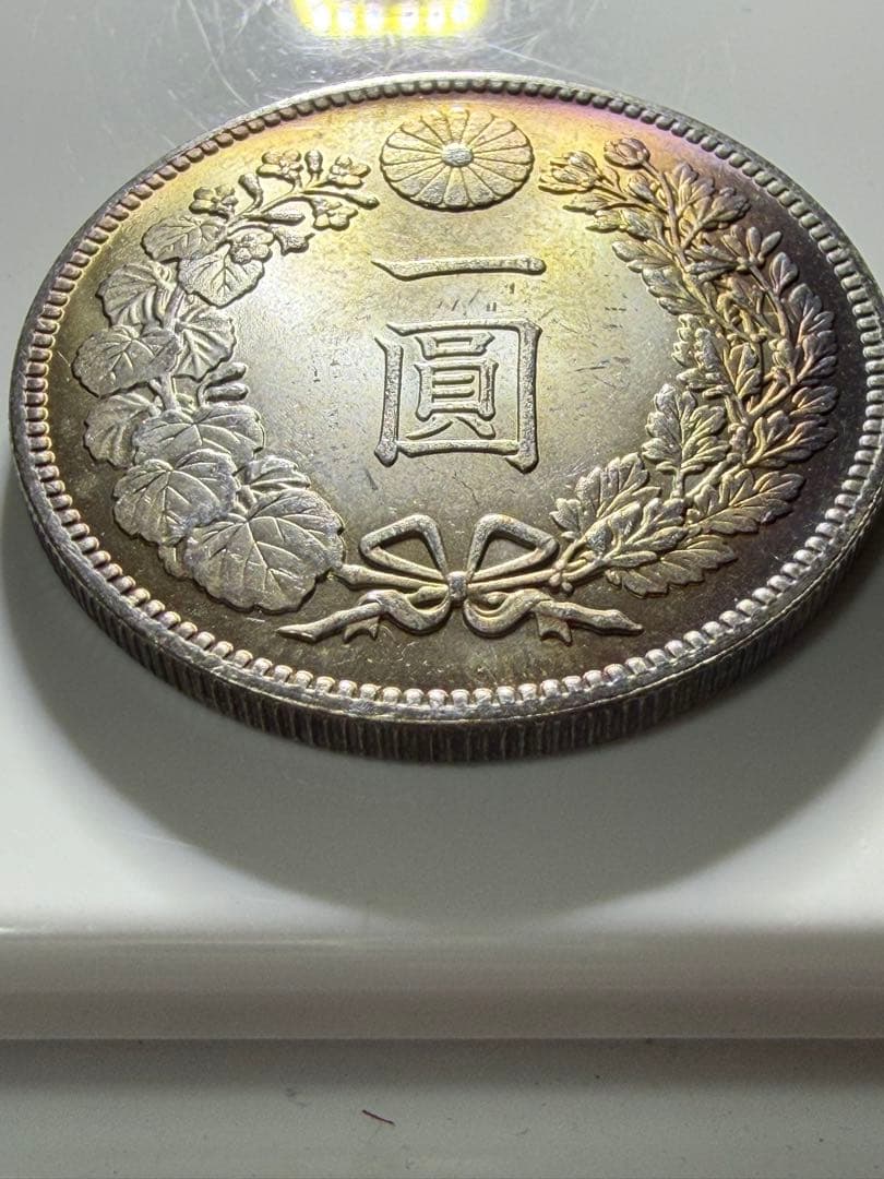 コレクション COLLECTION 6