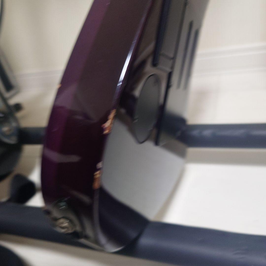 FERNANDES　M-85C 瀧川一郎モデル