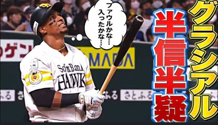 【プレミア】グラシアル SAM BAT 硬式木製バット 86cm 913g