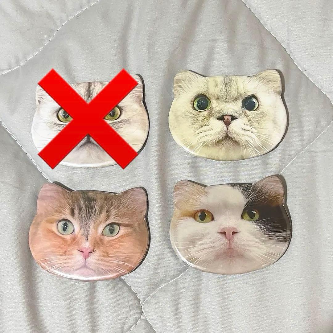 猫カフェmocha モカにゃんず猫型缶バッジ 池袋東口店