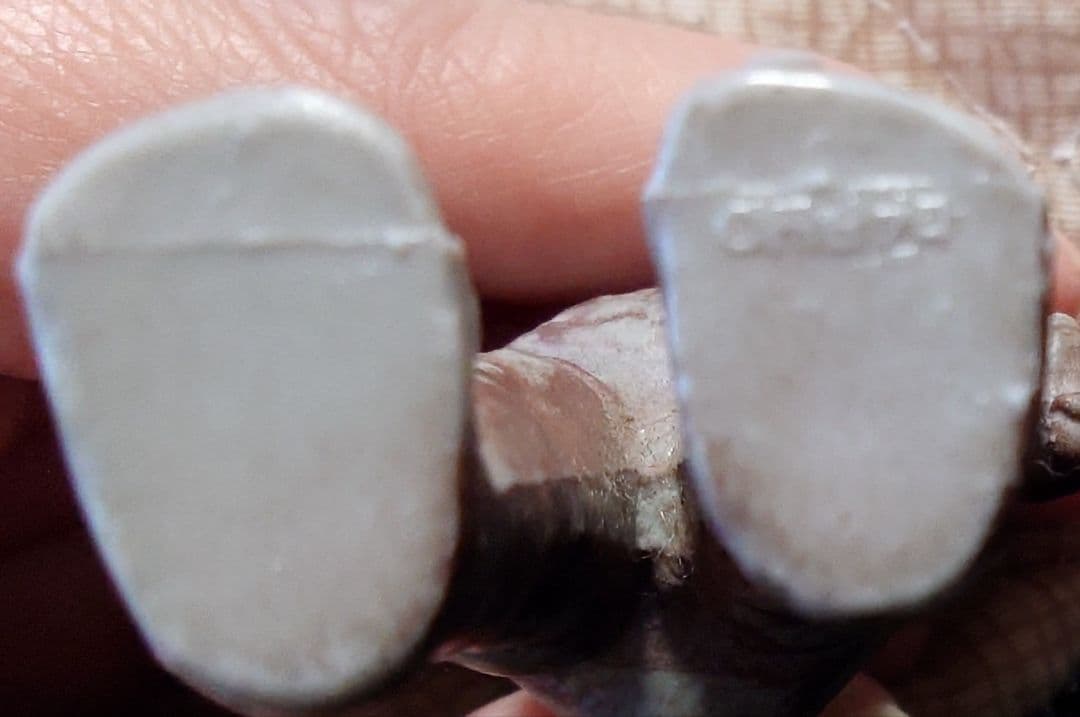 【当時物】【美研】ウルトラマン スケールモデル怪獣☆バルタン星人☆イカルス星人