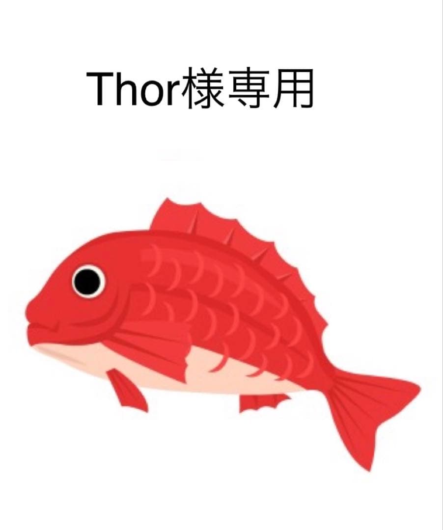 タイラバ　タングステン　Thor
