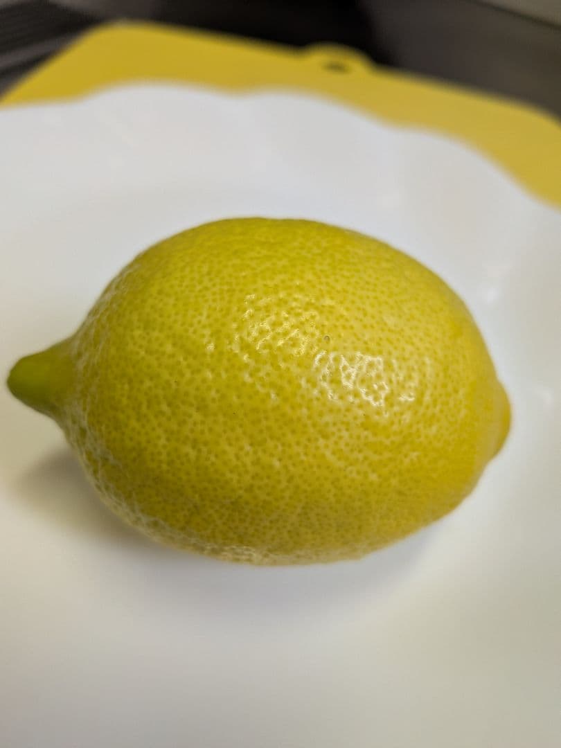 トオル　瀬戸田産　小粒たまみミカン＆レモン＆花柚子　箱込み15kg