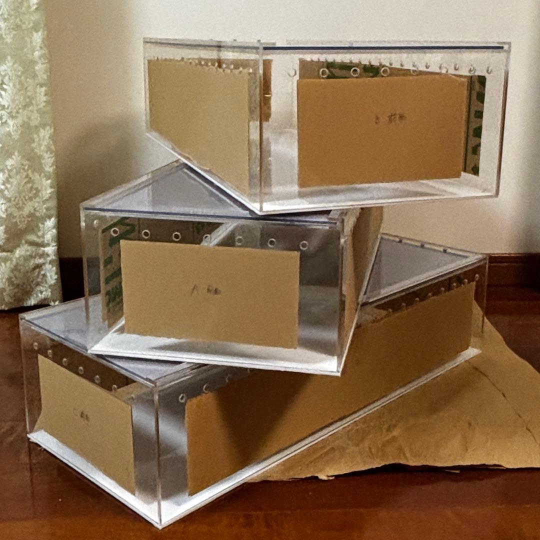 Takumaさま専用　アクリルケース　×3台
