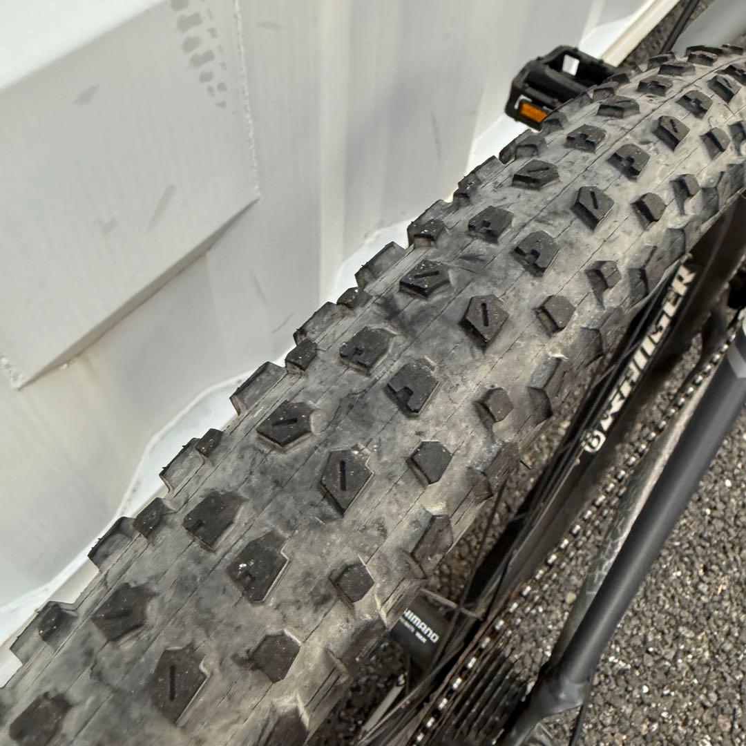 SK　29インチ Marlin 身長165-180cm