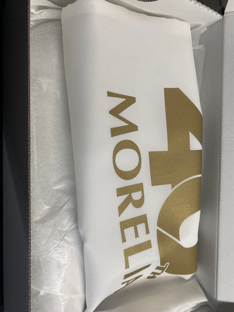 モレリアUL 26cm ミズノ