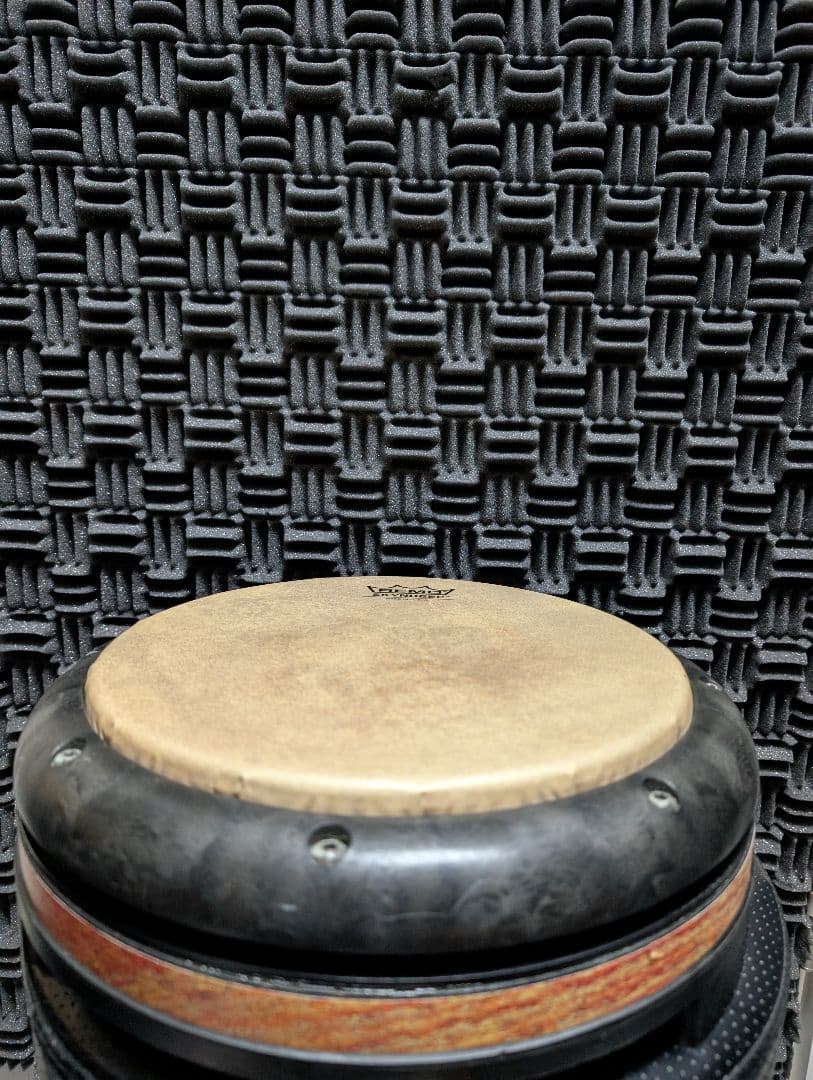 パーカッション・打楽器 Remo Tubanito