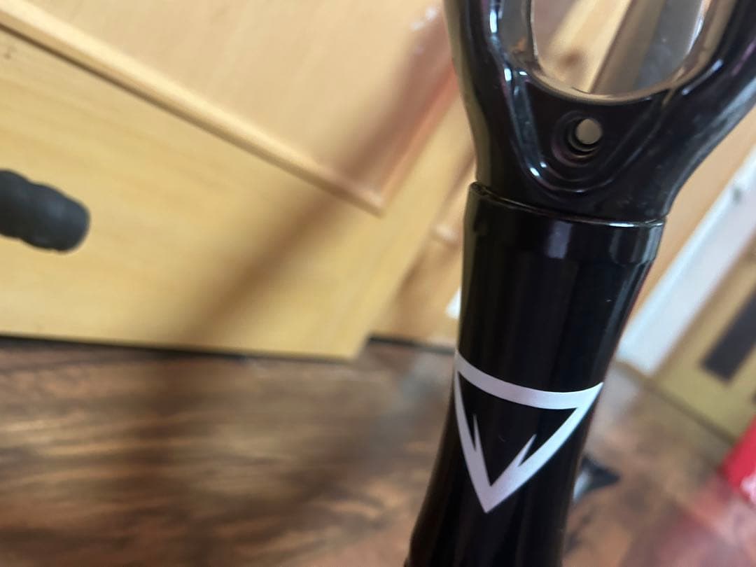 Fuji ピストバイク