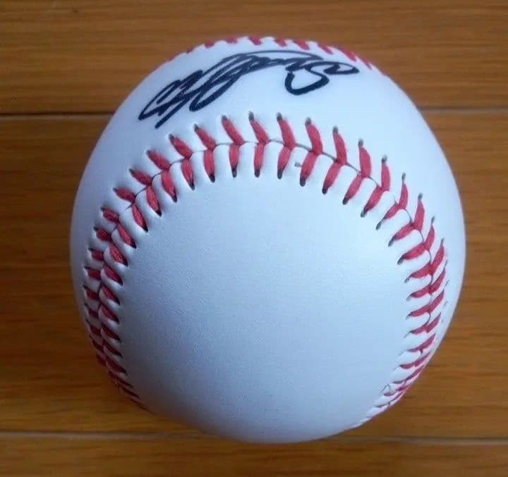 ヤクルトスワローズ　山田哲人直筆サインボール