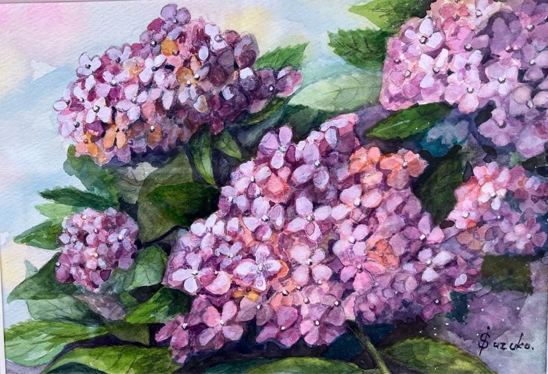 透明水彩画　SＭ　紫陽花　額付　ガラス