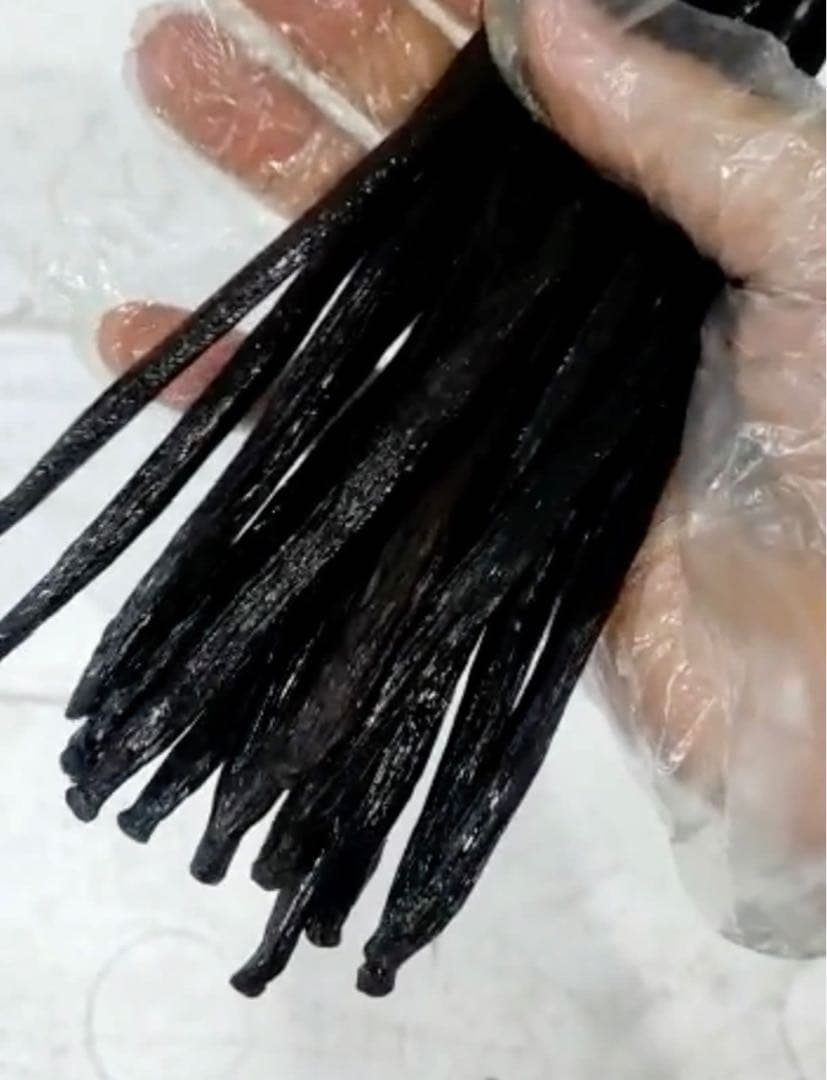 セール中【通常品】バニラビーンズ　タヒチ種　インドネシア産　Aグレード　500g