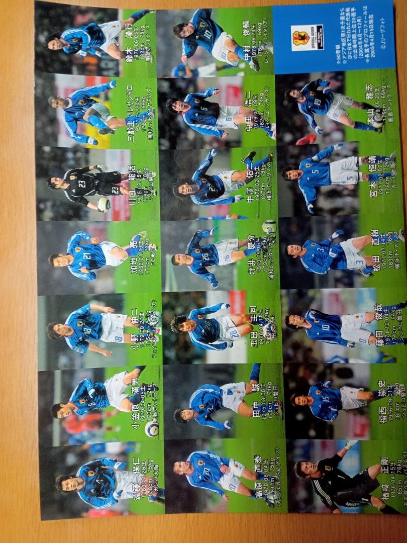 2006サッカー日本代表記念２枚組アルバム