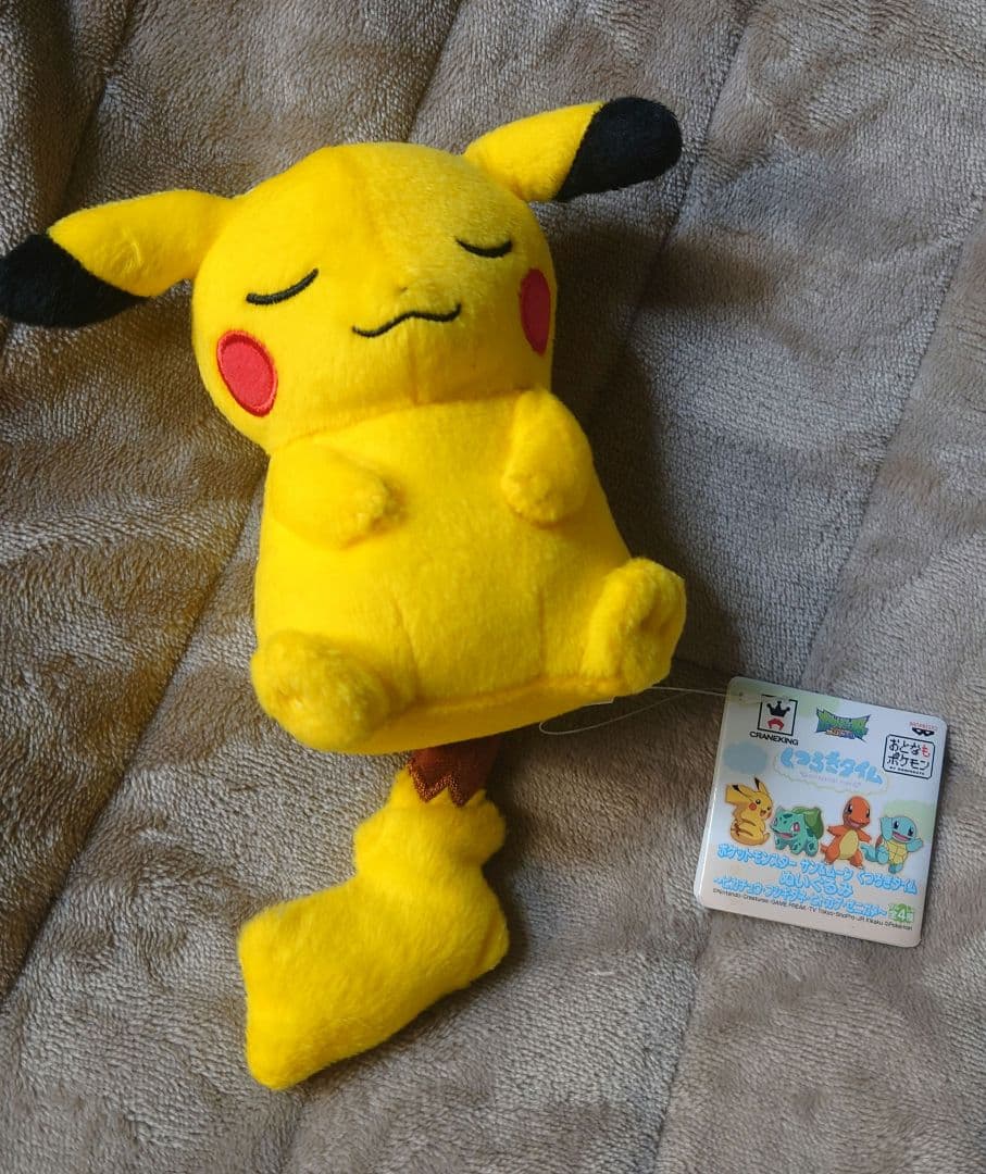 【紙タグ付き未使用】ぬいぐるみ　13種　まとめ売り　ポケットモンスター