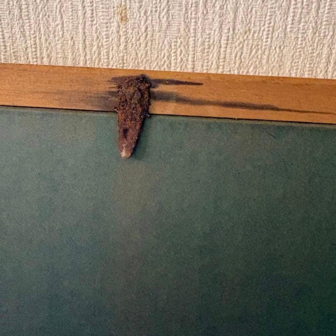 モーリス ユトリロ (フランス) モンマルトルの喫茶店