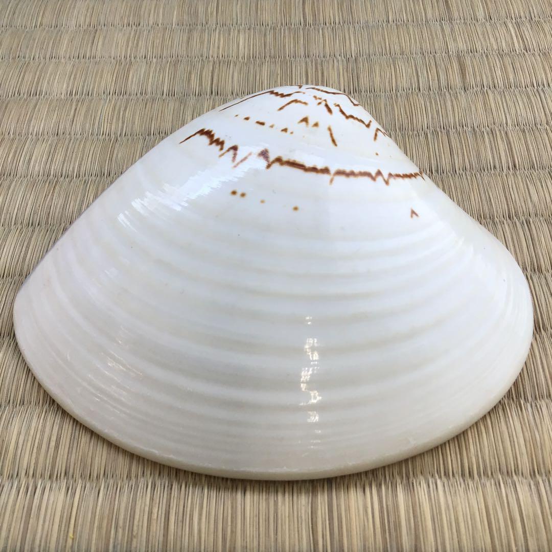 茶道具　香合　金箔蒔絵(内側) 大蛤十賊香合　共箱　S87TKG