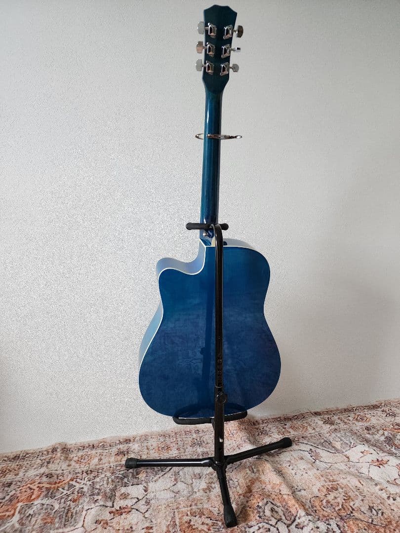 カッタウェイアコースティックギターセット