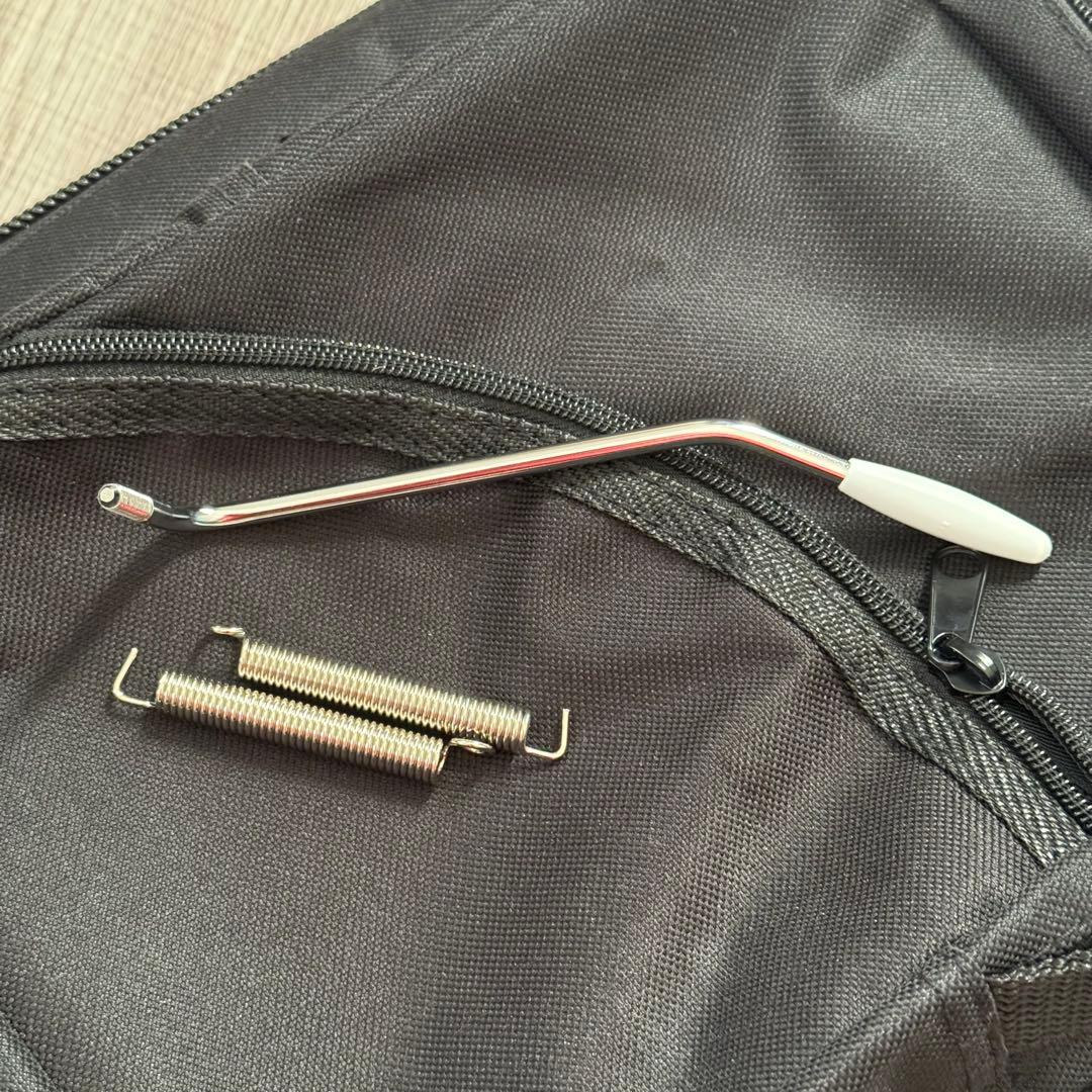 Providence ds-204 RSV LTD シェルピンク ラッカー塗装