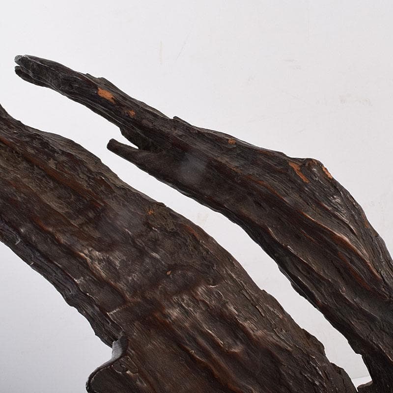 中国　天然木　鑑賞木　木彫り　人物像　D　R8996H