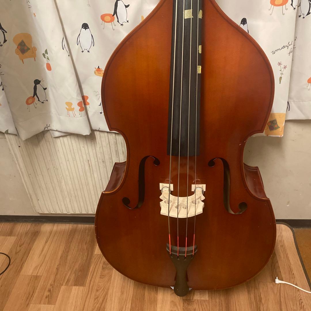 Suzuki コントラバス