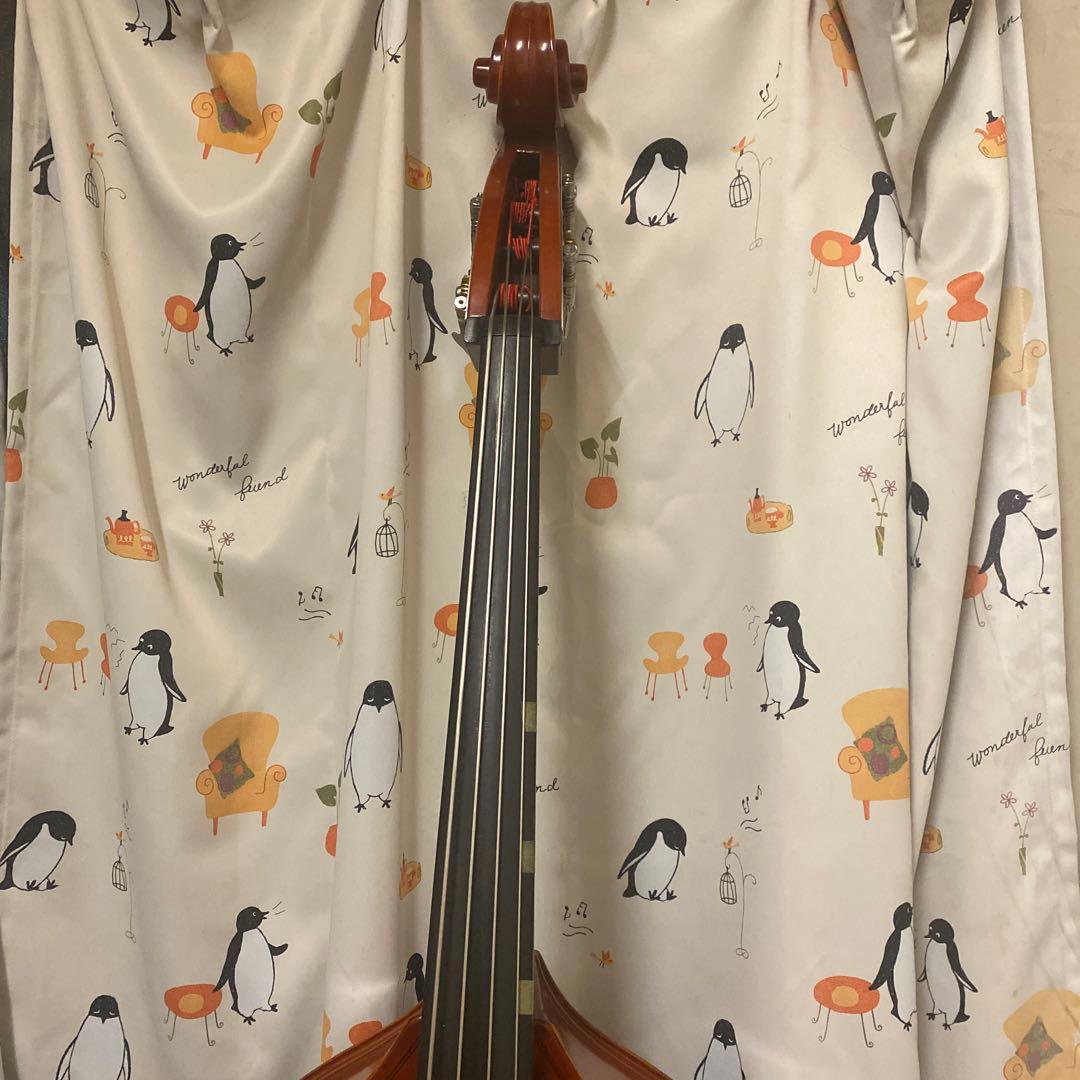 Suzuki コントラバス