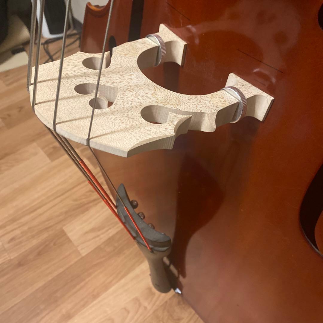 Suzuki コントラバス