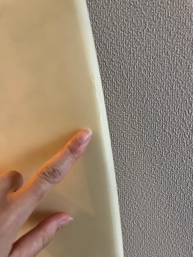 SC ショートボード 亀デザイン