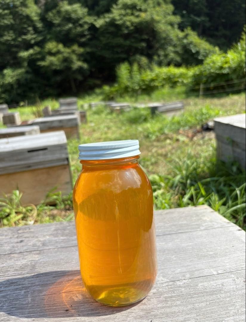 長野県長野市若穂保科で採れたりんごはちみつ 1.2キロ 2本 ⑨