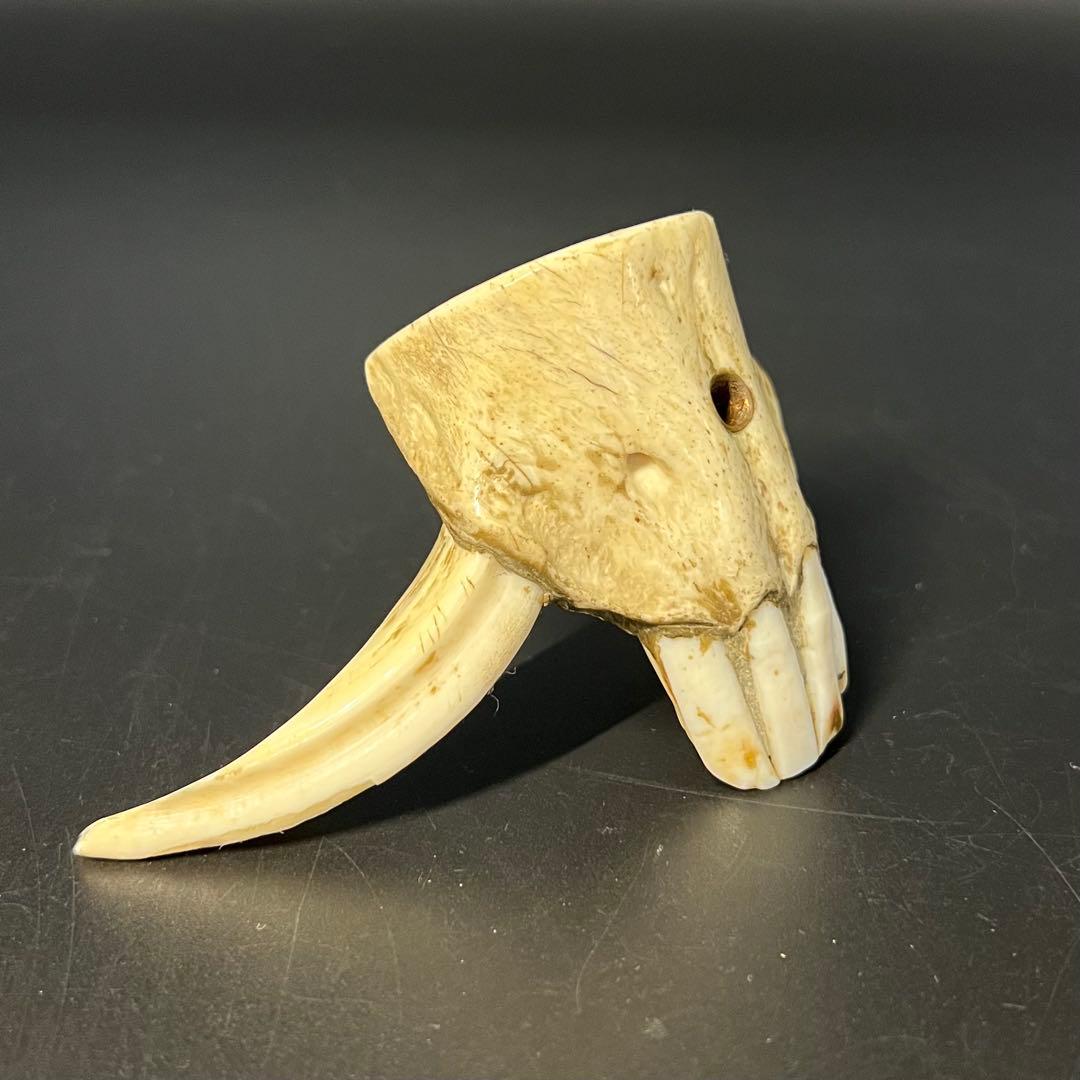 ◎古道具 庵々◎江戸-明治期 獣牙根付■提げ物山伏猟師魔除け呪物■猪牙狼牙熊牙