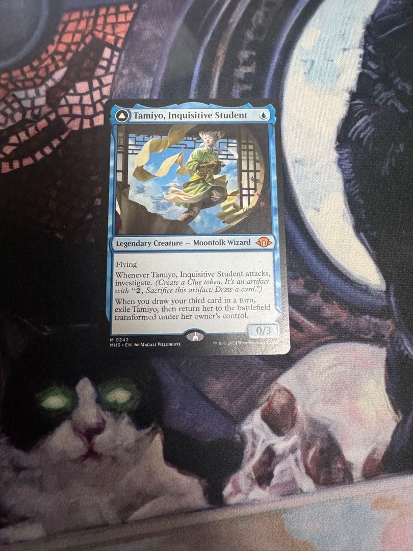 知りたがりの学徒　タミヨウ　4枚セット