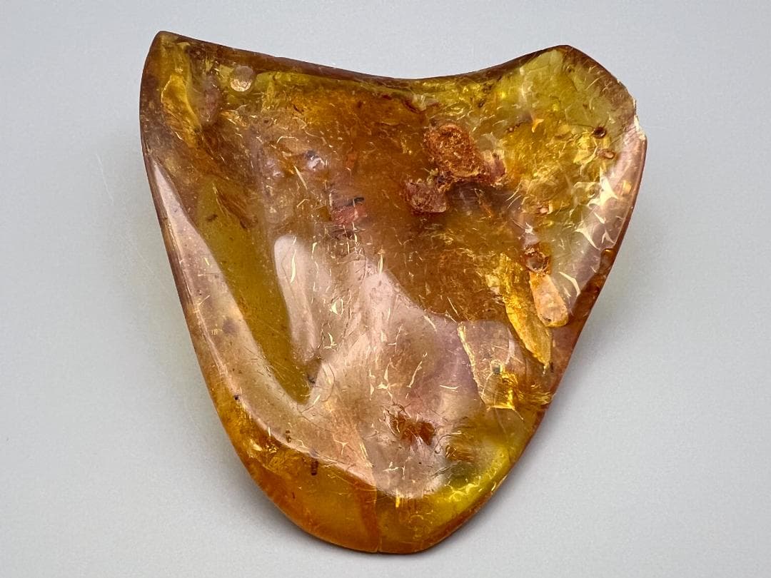 虫入り琥珀　蜘蛛　蚊　多種多様な虫を内包　バルティックアンバー　バルト海沿岸地域