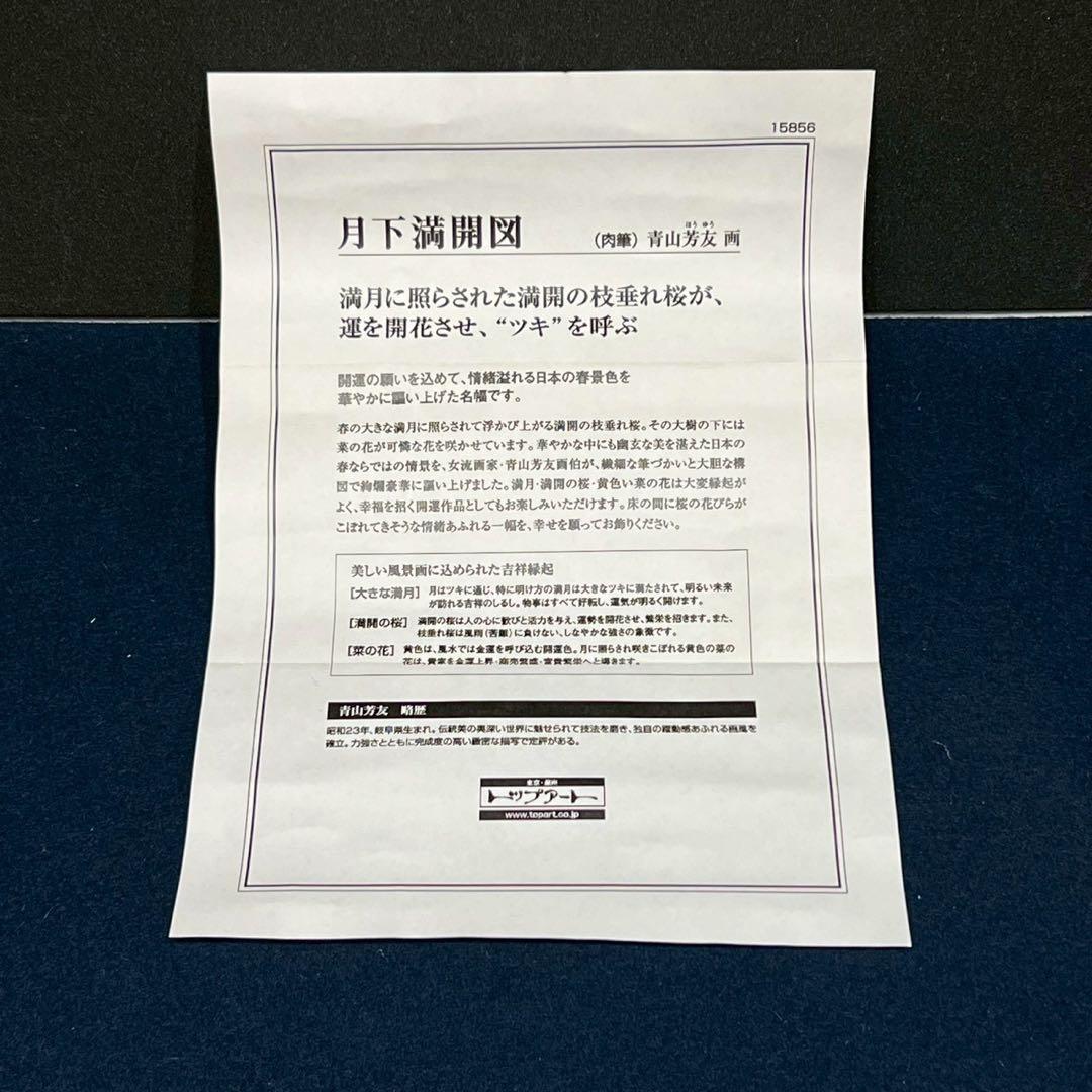 31 月下満開図 季節物 縁起物 桜図