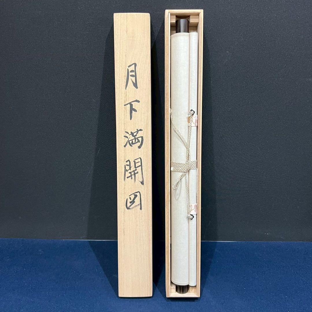 31 月下満開図 季節物 縁起物 桜図