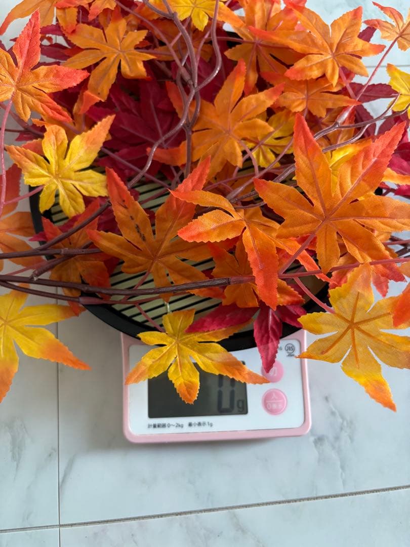 【北海道産地】9月7日収穫！美味しい松茸　239g