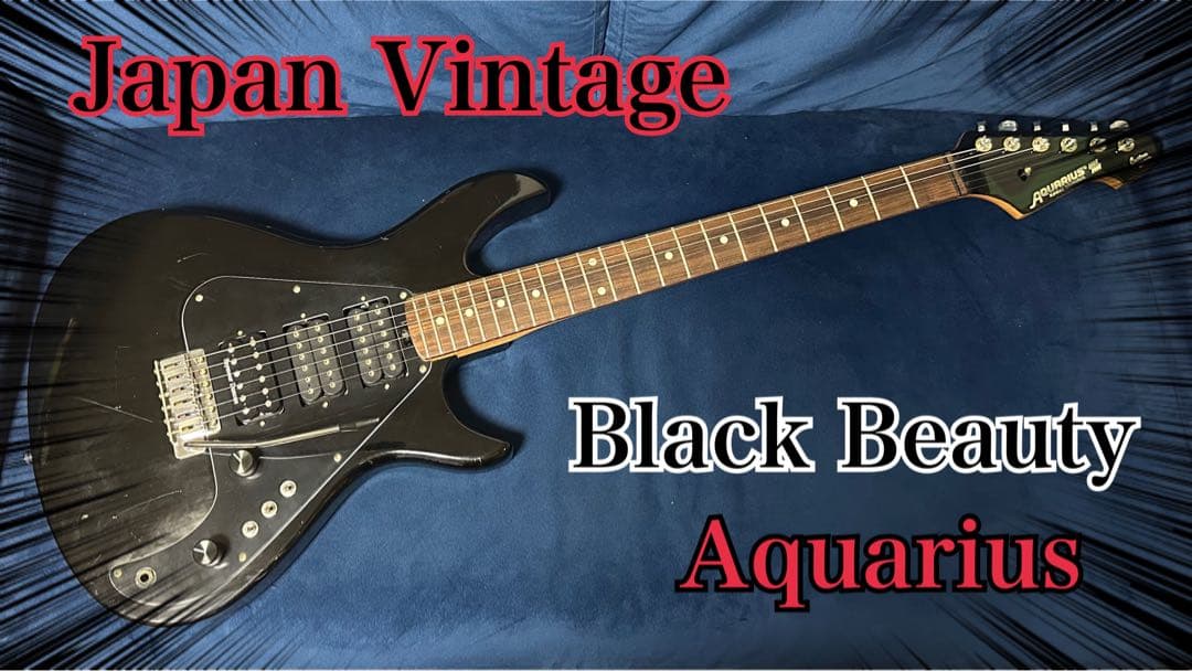 【激レア希少個体】Aquarius BLACK Beauty ＡＱ－550S