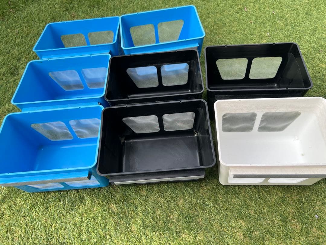 メダカ　飼育セット　わけぷか