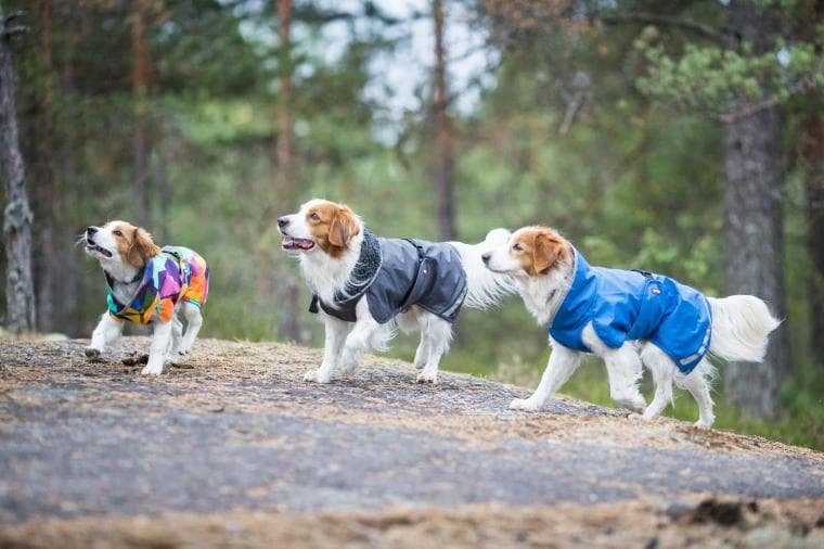 フィンランドデザインのPomppa・ドッグジャケット。