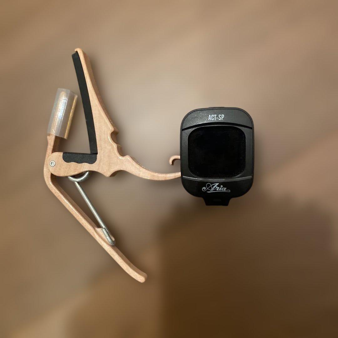 【送料無料】Epiphone アコースティックギター　PRO-1 Plus WR