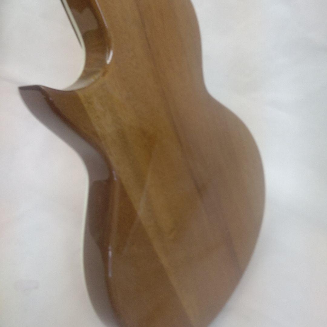 GrassRoots G-AC-45 レスポールシェイプアコギ！【美品】