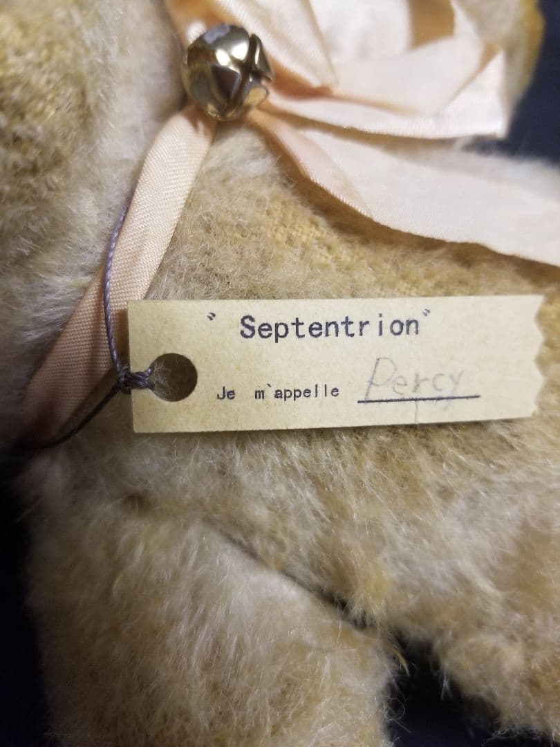 やぐちせいこ様 Septentrion テディベア アーティストベア