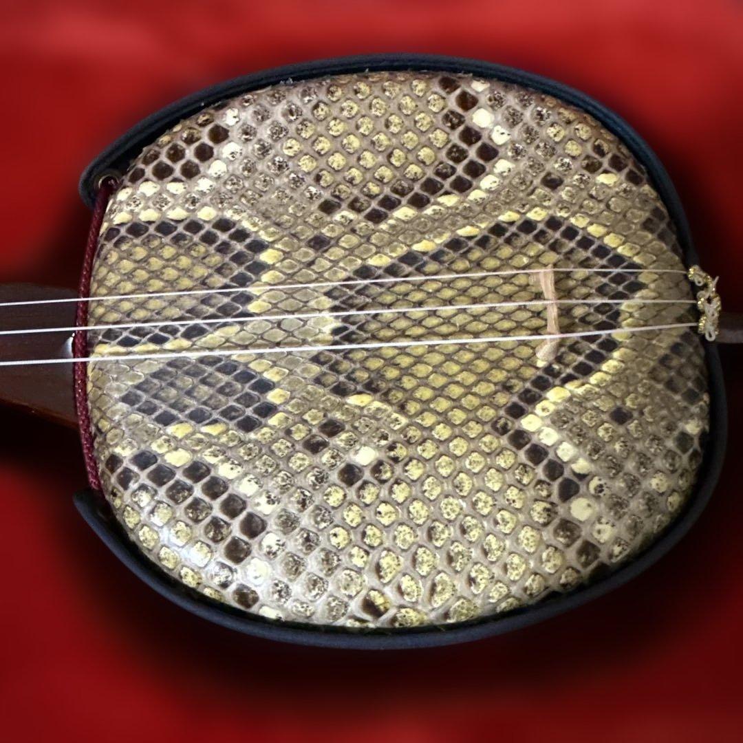 沖縄　三線　弦楽器　ソフトケース付き　リュックタイプ