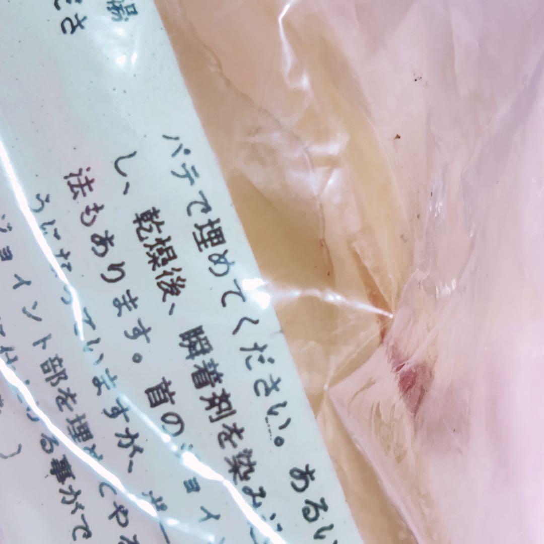 ビリケン商会　非売品　ウルトラマン　ナメゴン　透明フィギュア　激レア