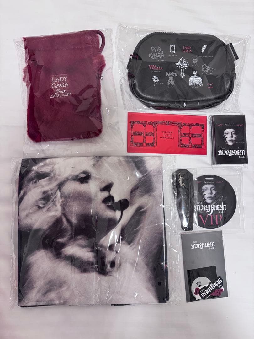 LADY GAGA VIP GOLD グッズ フルセット ゴールド　ガガ