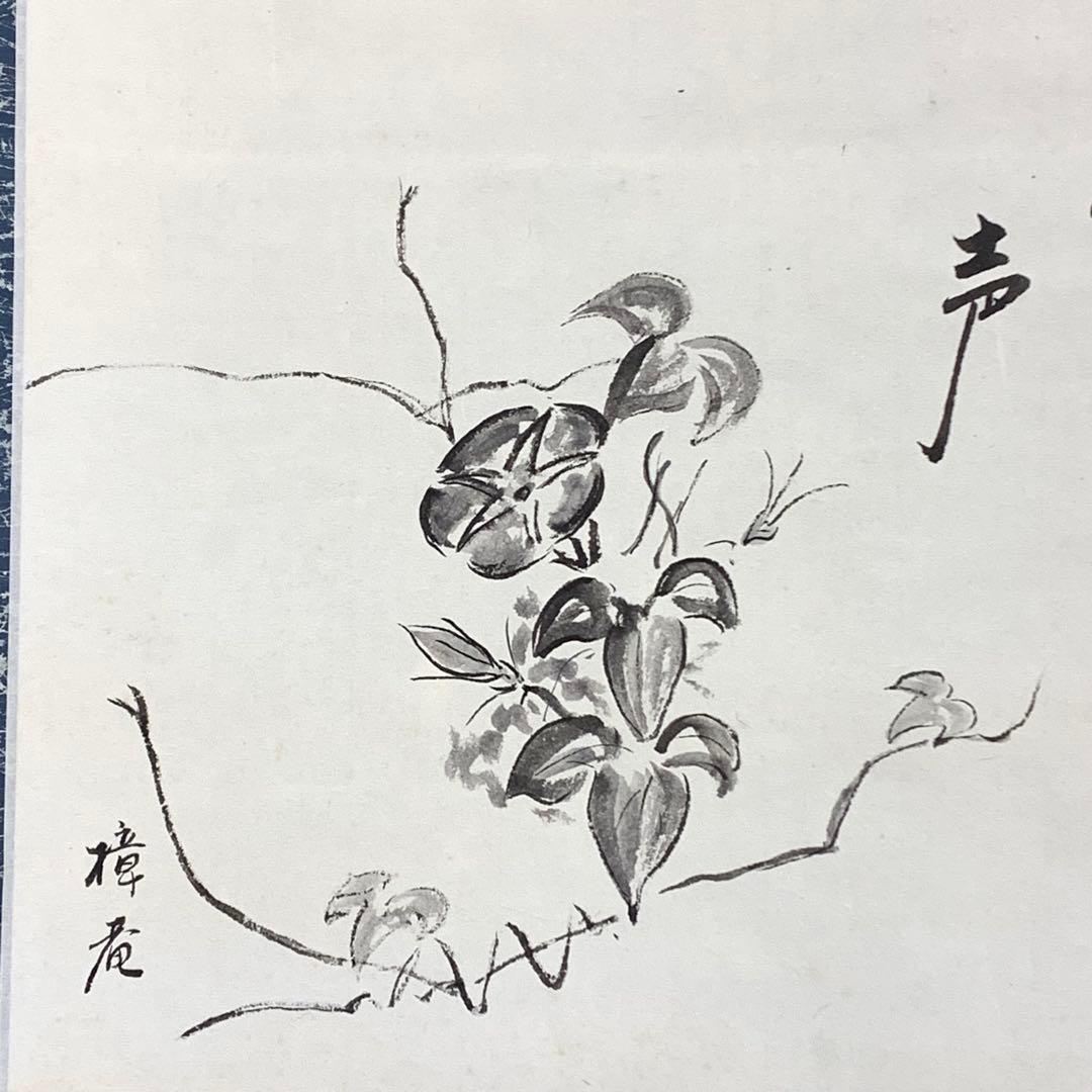 【bianchi】掛軸 木村樟庵 朝顔 涼風颯々声 紙箱 画賛 3-51