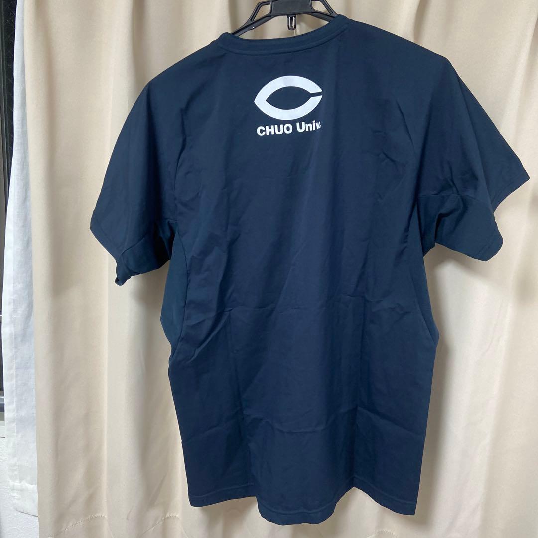 中央大学　バレーボールピステ