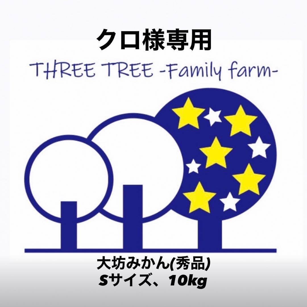 クロ! 温州みかん 樹熟大坊みかん 秀品(贈答品同様)Sサイズ10kg