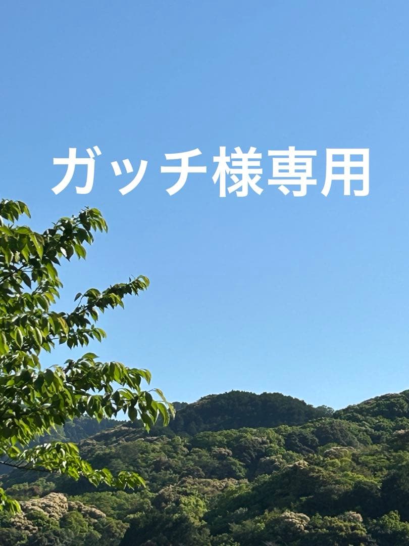 栗ようかん 10本入×2袋 長崎カステラ切り落とし40個 ガッチ