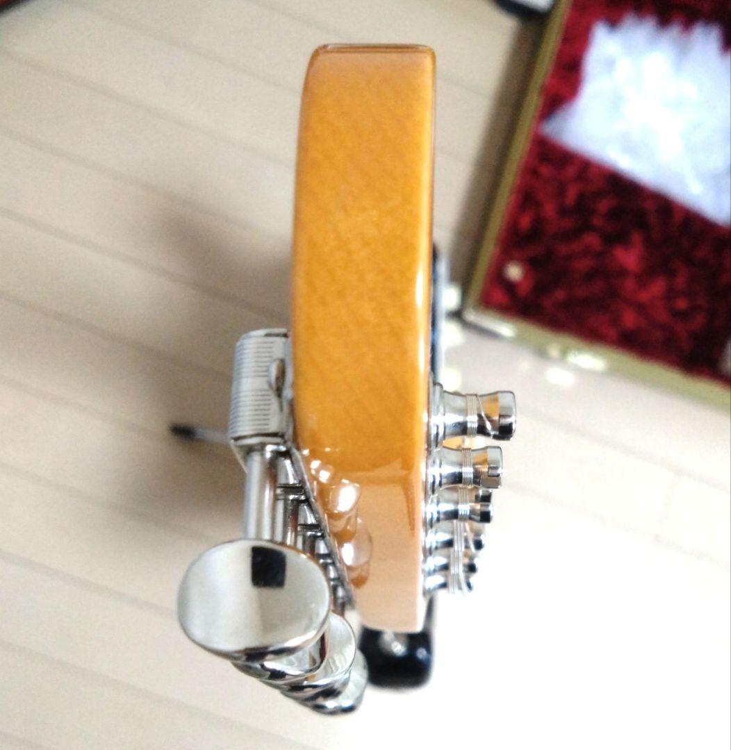 ギター Eric Johnson 1954 Virginia Stratocaster