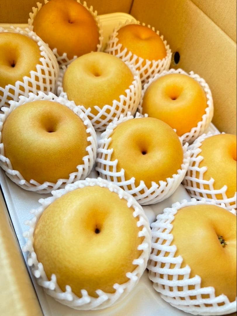 梨　新高梨　10玉　　04