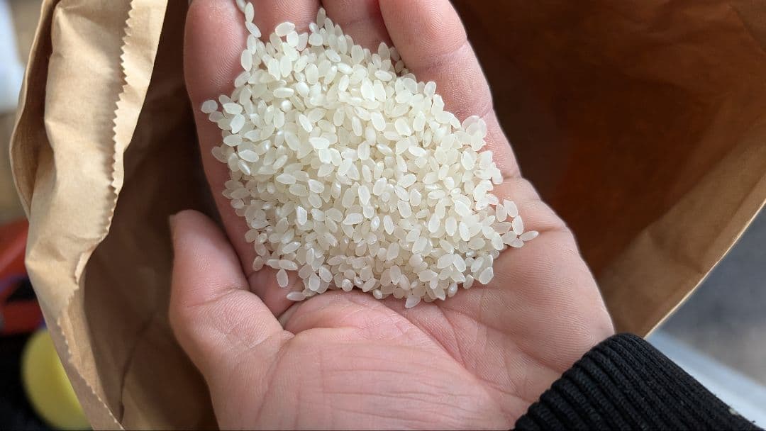 ひとめぼれ15kg 白米